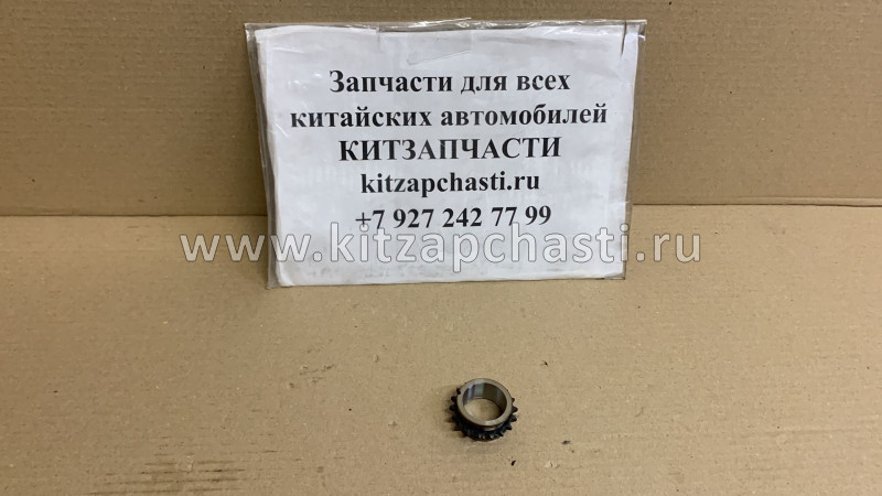 ЗВЕЗДОЧКА КОЛЕНВАЛА Haval Jolion 1005102-EG01