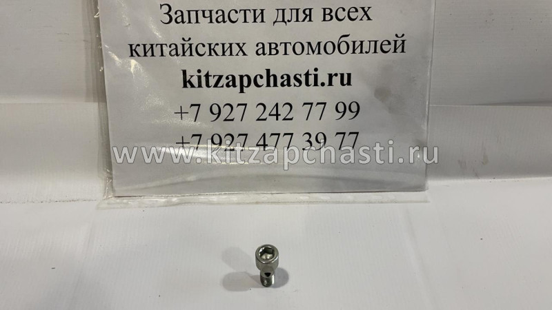 Болт доступа воды Haval Jolion 1118037-EG01T